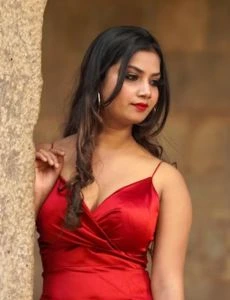 call girl service in Visalakshi Nagar